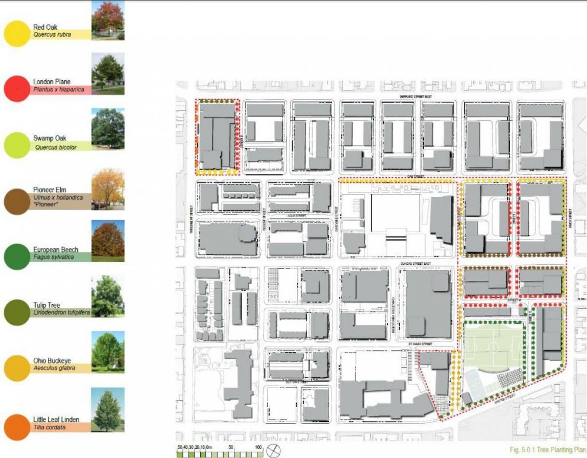 Mapa de plan de Revitalización de Regent Park de Toronto fase 3