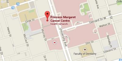 Mapa de la Princesa Margaret Cancer Centre de Toronto