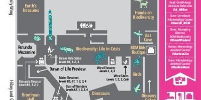 Mapa de Museo Real de Ontario nivel 2
