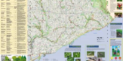 Mapa de parques y senderos para caminar East Toronto