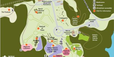 Mapa de real jardín botánico Arboretum