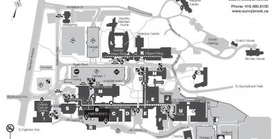 Mapa de Sunnybrook Health sciences centre - select health of south carolina